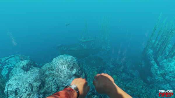 荒岛生存2（Survival Island The Forest 3D）图2