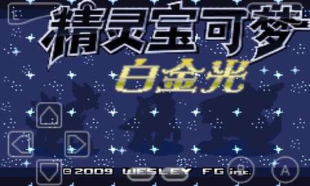 口袋妖怪白金光图2