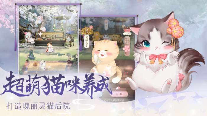 灵猫传抖音版图4