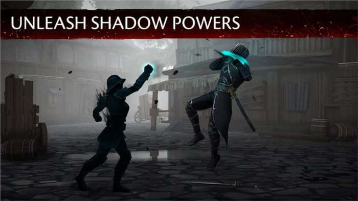暗影格斗3破解版满级（ShadowFight 3）图1