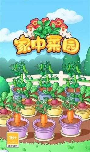 家中菜园图3