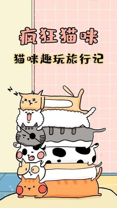 疯狂猫咪图1