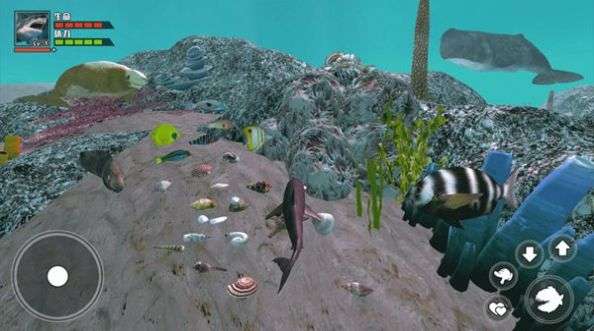 海底大求生游戏最新安卓版图2